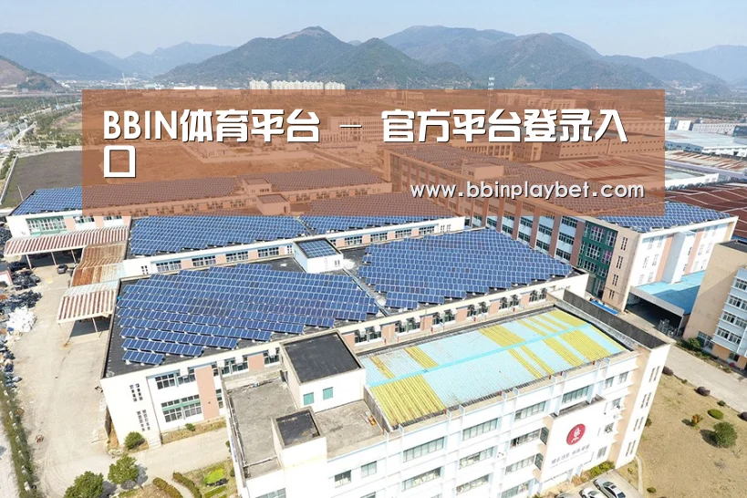 案例展示四
