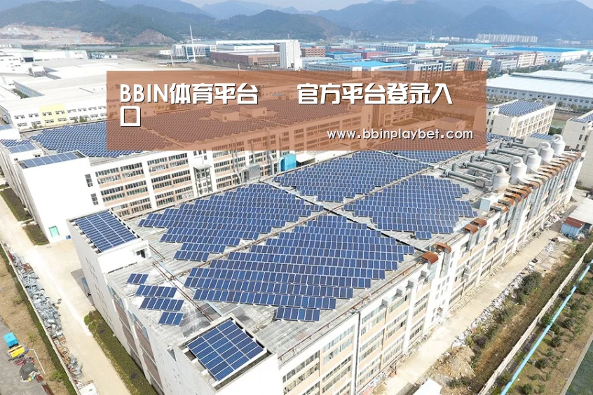 案例展示三