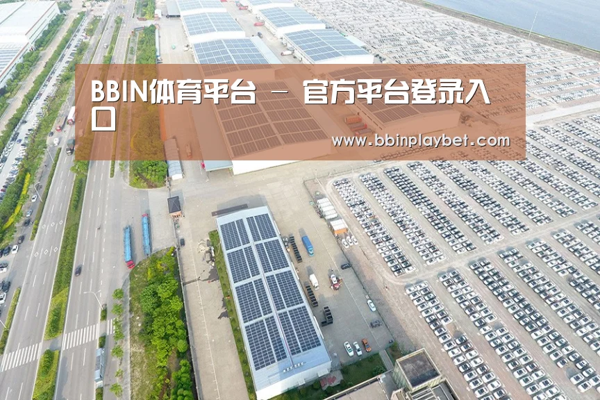 案例展示四