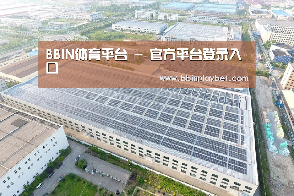 案例展示四
