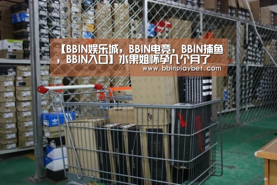 BBIN娱乐城，BBIN电竞，BBIN捕鱼，BBIN入口