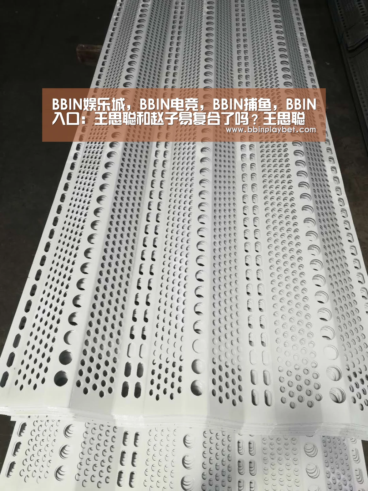 BBIN娱乐城,BBIN电竞,BBIN捕鱼,BBIN入口:王思聪和赵子易复合了吗?王思聪和前女友日本滑雪是什么情况(图2) BBIN娱乐城,BBIN电竞,BBIN捕鱼,BBIN入口