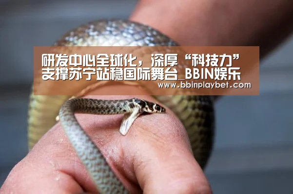 BBIN娱乐城，BBIN电竞，BBIN捕鱼，BBIN入口
