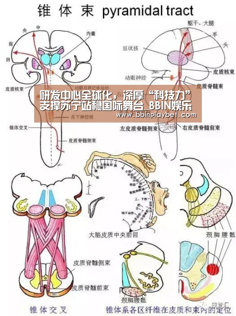 BBIN娱乐城，BBIN电竞，BBIN捕鱼，BBIN入口
