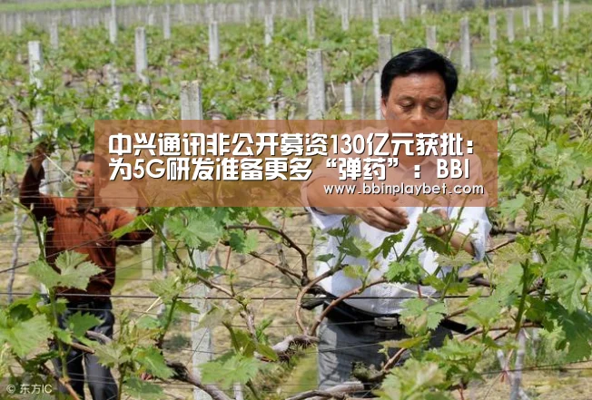 中兴通讯非公开募资130亿元获批:为5G研发准备更多“弹药”:BBIN娱乐城,BBIN电竞,BBIN捕鱼,BBIN入口(图1) BBIN娱乐城,BBIN电竞,BBIN捕鱼,BBIN入口