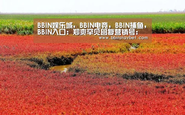BBIN娱乐城，BBIN电竞，BBIN捕鱼，BBIN入口