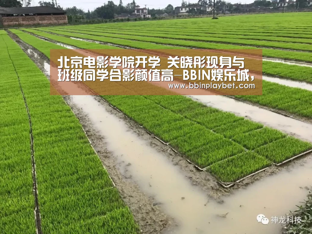 BBIN娱乐城，BBIN电竞，BBIN捕鱼，BBIN入口