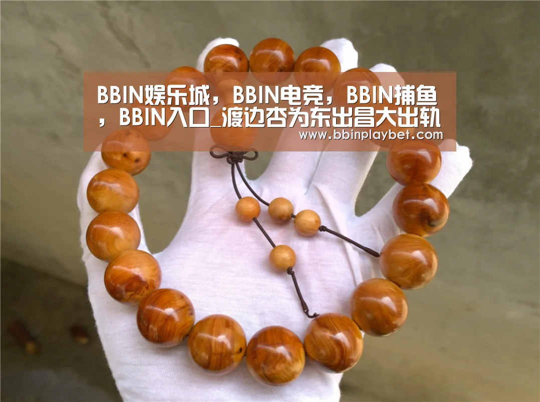 BBIN娱乐城，BBIN电竞，BBIN捕鱼，BBIN入口