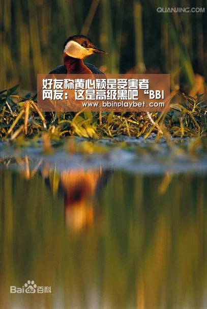 好友称黄心颖是受害者 网友:这是高级黑吧“BBIN娱乐城,BBIN电竞,BBIN捕鱼,BBIN入口”(图1) BBIN娱乐城,BBIN电竞,BBIN捕鱼,BBIN入口