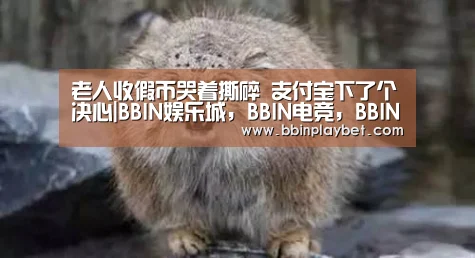 BBIN娱乐城，BBIN电竞，BBIN捕鱼，BBIN入口