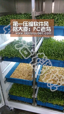 第一压缩软件风格大变:PC老鸟一眼没认出“BBIN娱乐城,BBIN电竞,BBIN捕鱼,BBIN入口”(图2) BBIN娱乐城,BBIN电竞,BBIN捕鱼,BBIN入口