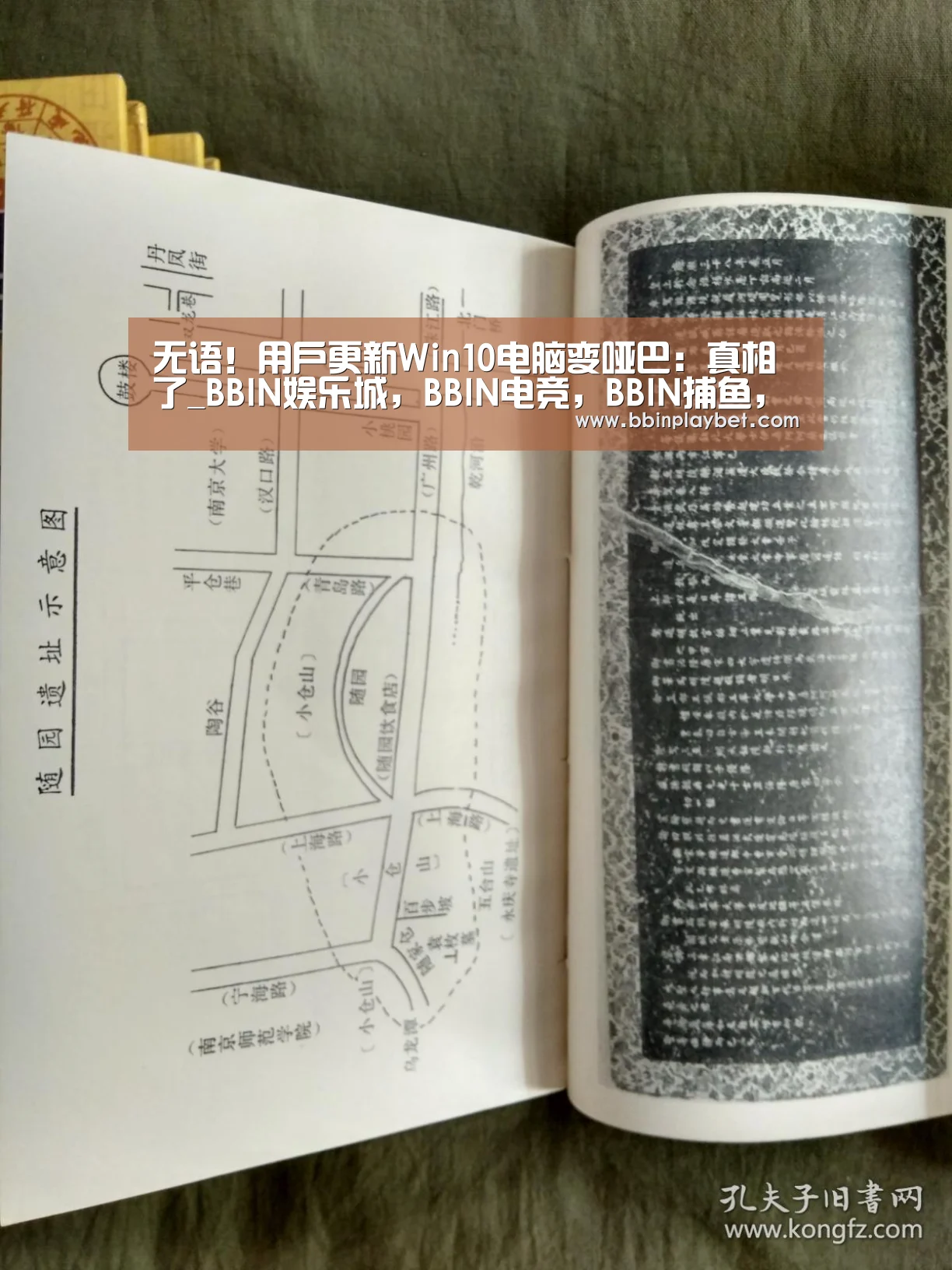 BBIN娱乐城，BBIN电竞，BBIN捕鱼，BBIN入口