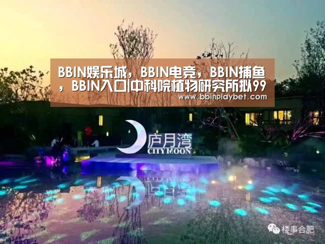 BBIN娱乐城，BBIN电竞，BBIN捕鱼，BBIN入口
