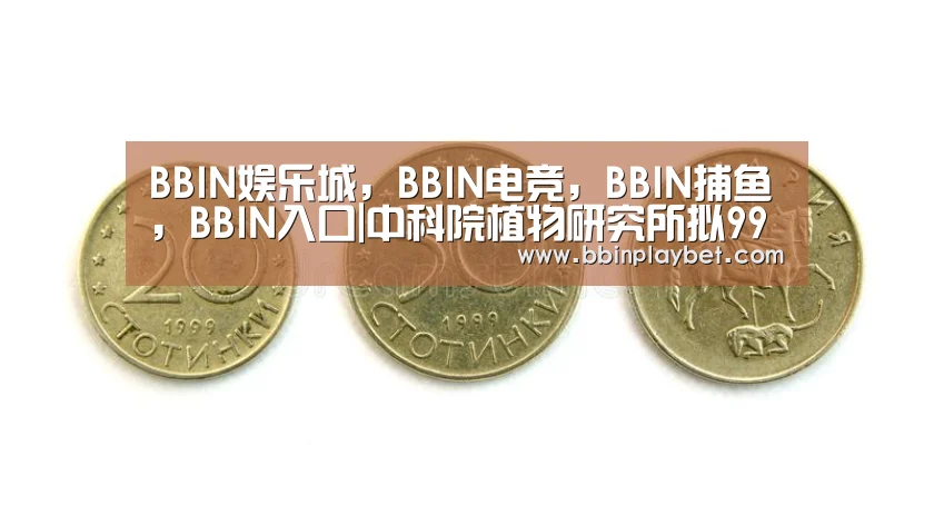 BBIN娱乐城，BBIN电竞，BBIN捕鱼，BBIN入口