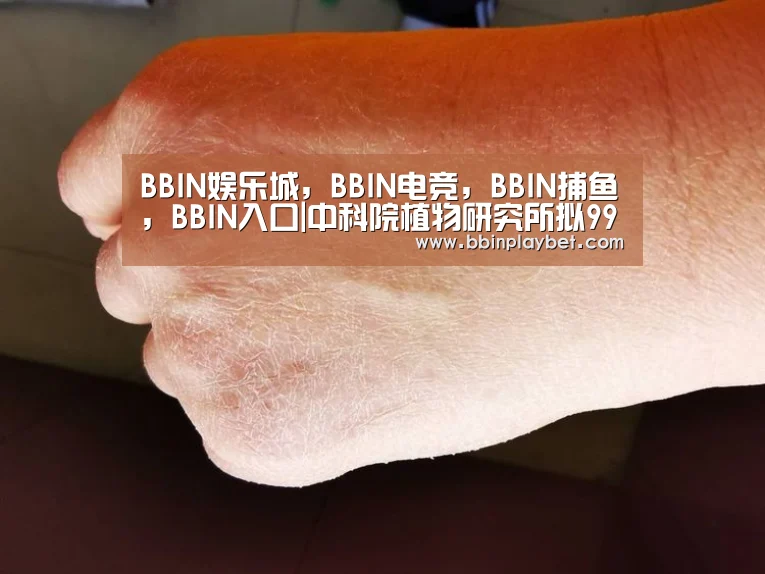 BBIN娱乐城，BBIN电竞，BBIN捕鱼，BBIN入口