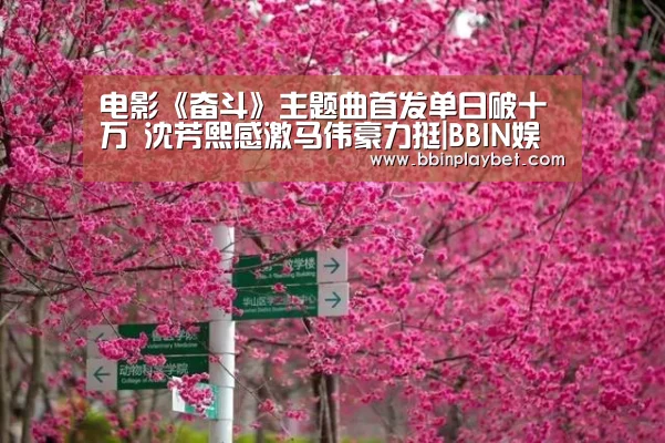 BBIN娱乐城，BBIN电竞，BBIN捕鱼，BBIN入口
